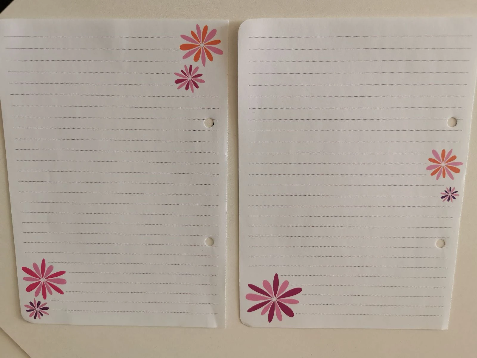 2 feuilles hors série diddl
